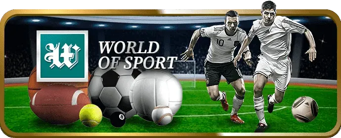 Đội ngũ hỗ trợ chuyên nghiệp và tận tâm của dk 99k win55